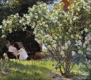 Peder Severin Kroyer Roses Garden in Skagen (nn02) oil painting